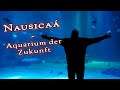 Nausicaá - Aquarium der Zukunft - der krass, geil, hammer VLOG