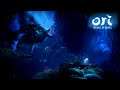 Ori and the Will of the Wisps - Entering Howl's Domain and Den (Xbox One Gameplay)