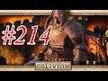 The Elder Scrolls IV Oblivion ITA - #214 Crepa nella roccia!!!