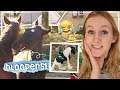 DIT GING FOUT IN 2019! Paarden & Star Stable BLOOPERS! 😂 | Daphne draaft door