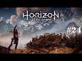 Horizon Zero Dawn | FR | Let's play | #24 La famille d'Olin