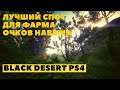 Black Desert Online PS4 ➤ ФАРМ ОЧКОВ НАВЫКОВ НА НАЧАЛЬНОМ ЭТАПЕ