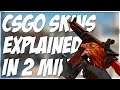 CSGO SKINS EXPLAINED IN 2 MINUTES!! (SIMPLE VERSION)