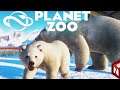 О дополнении Planet Zoo: Arctic Pack!