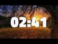 2 MINUTES AND 41 SECONDS TIMER COUNTDOWN [161 seconds - 2:41]