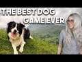 BEST DOG GAME EVER | BorderCollie FMV Game | (GamerJoob Randoms)