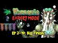 BIG FINISH! Terraria EXPERT MODE Let's Play, Ep 2-19 (1.3 PC Gameplay)