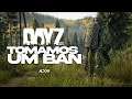 DayZ Live #36 | Tomamos um BAN
