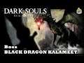 D.S Remastered Boss Black Dragon Kalameet PS4 PRO PT