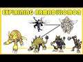 Explaining Digimon: ARMADILLOMON DIGIVOLUTION LINE [Digimon Conversation #30]