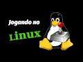 Jogando no Linux | Playing on Linux !!