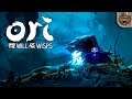 O Encontro com GRITO | Ori and the Will of the Wisps #09 - Gameplay PT-BR