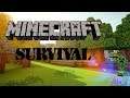 Survival Episode 1 | Minecraft Survival