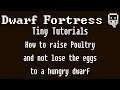 Dwarf Fortress Tiny Tutorials: How to raise poultry and not lose the eggs to a hungry dwarf