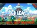 Eine Runde Angeln - Zelda Links Awakening #15 [Nintendo Switch 1080p]