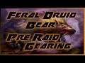 Feral  (Bear) Druid Pre Raid gear TBC Classic
