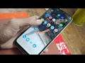 how to enable developer option narzo realme c11 rmx 3231 build number ithelper