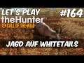 the Hunter Call of the Wild #164 - Jagd auf Whitetails [Gameplay | Deutsch]