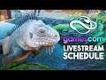 Livestreaming Planet Zoo NEXT WEEK! Schedule Inside | Exclusive Gameplay