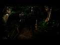 Old RE3 The Park Rainy Trail ASMR