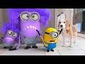 Purple Minion IN REAL LIFE Animation! Wow Must See!