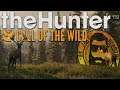 TruReds Beta is LIVE!! Testing it out in theHunter Call of the Wild