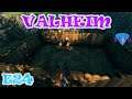 Valheim | Gameplay / Let's Play | E24