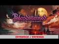 Bloodstained Ritual of The Night - Entrance / Entrado - 27