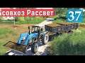 Farming Simulator 19 - Фермер в совхозе РАССВЕТ # 37