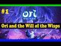 Ori and the Will of the Wisps PC - Gioia per gli occhi - Walkthrough ITA #1