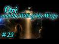【Ori and the Will of the Wisps】♯29あのOriの続編！