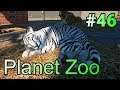実況 動物観察の刑に処す！「Planet Zoo」#46