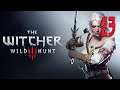 The Witcher 3: Wild Hunt | Gameplay Español | Capítulo 23