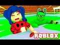 ZOMBİ UĞUR BÖCEĞİNİ ÇATIR ÇUTUR YEDİ 🧟 ROBLOX ZOMBiE POOL 😱 EĞLENCELi LADYBUG ile KARA KEDi OYUNU