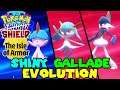 Evolving SHINY RALTS to SHINY GALLADE in Pokemon Sword Shield Isle of Armor Dlc
