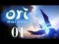Let's Play: Ori and the Will of the Wisps/ Part 1: Wir nannten sie Ku...