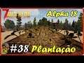 Plantação - 7Dtd # 38