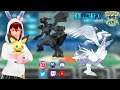 Pokemon GO Fest 2021 #9 Legendary Raid Zekrom