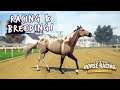 Racing & Breeding! || Rival Stars Horse Racing
