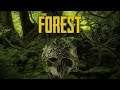 The Forest PS4 Gameplay - How To Survive The First Day - Let's Play an Freak out!
