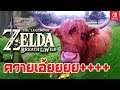 ควายเอ้ย!!!! The Legend of Zelda: Breath of the Wild