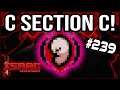 C SECTION C! - The Binding Of Isaac: Repentance #239