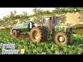 GAMBIARRA PRA VENDER SILAGEM | Farming Simulator 2019 | OS COLONOS 2 #07