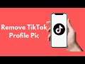 How to Remove TikTok Profile Pic (Android & iPhone)