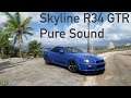 Modified Skyline R34 GTR PURE SOUND Gaming ASMR - Forza Horizon 5