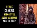 Netflix CANCELS The Dark Crystal Age Of Resistance WHAT THE HELL ARE YOU THINKING