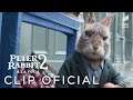 PETER RABBIT 2 - "Conoce a Barnabás" Clip en ESPAÑOL | Sony Pictures España