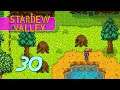 Stardew Valley: Beach Farm - Let's Play Ep 30