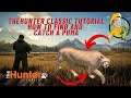 Thehunter Classic Tutorial how to find and catch a Puma