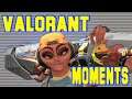 Valorant Beta Highlights & Funny Moments
